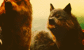 Wolves in BDp1 - twilight-series fan art