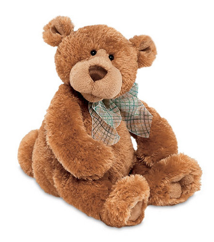 cute teddy bear