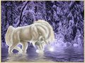 winter unicorn fantasy - fantasy photo