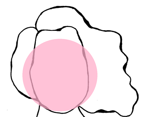  Bubblegum 雌犬