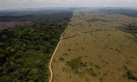  Deforestation in the वीरांगना, अमेज़न Rainforest