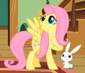 Fluttershy - my-little-pony-friendship-is-magic photo