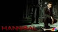 Hannibal TV Series - hannibal-tv-series photo