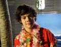 Harry - one-direction photo