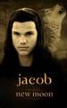 Jake :) - jacob-black photo