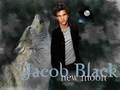 Jake :) - jacob-black photo
