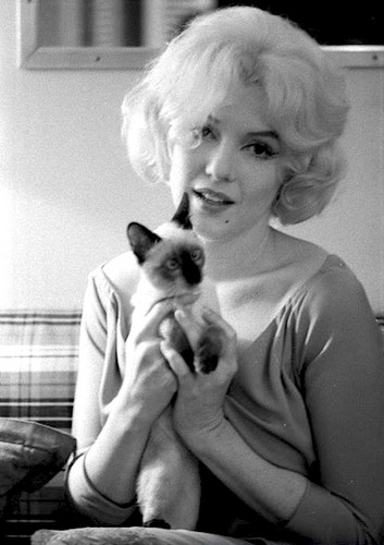  Marilyn with her addopted kitten Serafina