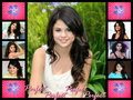 Selena Gomez is the Best - selena-gomez fan art