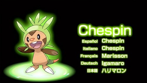  Chesspin, one of the new starters from Pokemon X/Y