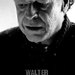 Walter - walter-bishop icon
