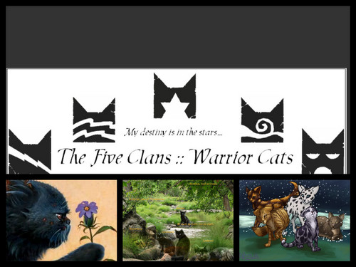 Warrior Cats Collage
