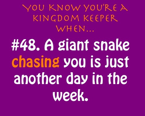 You know you are a kingdom keeper if...