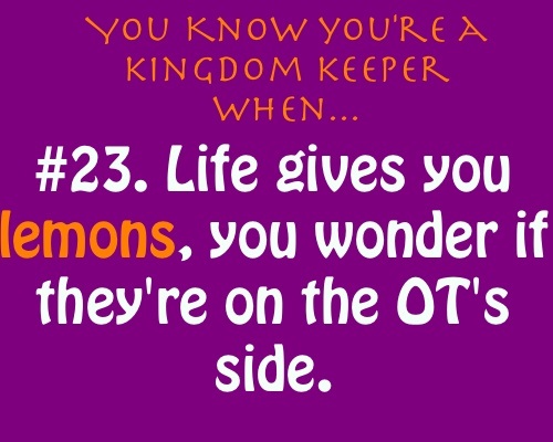  你 know 你 are a kingdom keeper if...