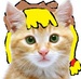 apple jack as a real cat - my-little-pony-friendship-is-magic icon