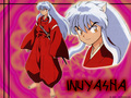 inuyasha - anime photo