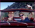 one direction, kiss you 2013 - one-direction photo
