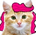 pinkie pie as a real cat - my-little-pony-friendship-is-magic icon