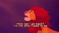 the lion king - the-lion-king fan art