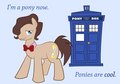 the pony time llord - doctor-who photo