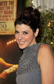 9th AFI Awards in Los Angeles - marisa-tomei photo