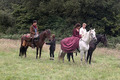 BTS - Bradley and Angel and Horsies (2) - arthur-and-gwen photo