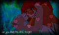 Can you feel the love tonight? - disney photo
