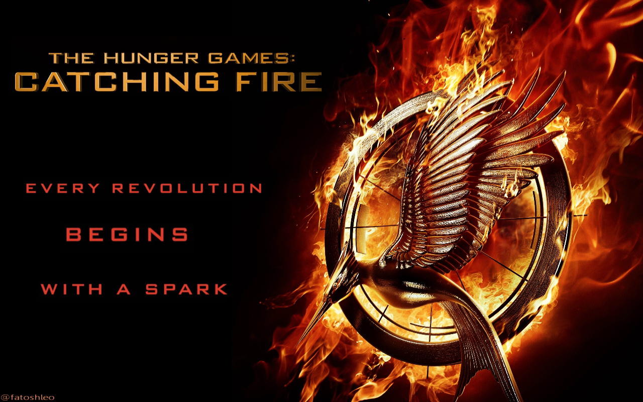http://images6.fanpop.com/image/photos/33300000/Catching-Fire-Wallpapers-catching-fire-movie-33312389-1280-800.jpg