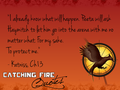 Catching Fire quotes 101-120 - the-hunger-games fan art