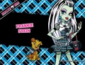 Group - monster-high photo
