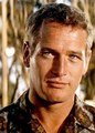 Paul Newman - paul-newman photo