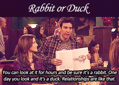  Rabbit atau bebek