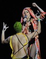 The Born This Way Ball Tour in Los Angeles (Jan 20) - lady-gaga photo