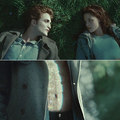 Twilight <3 - twilight-movie photo