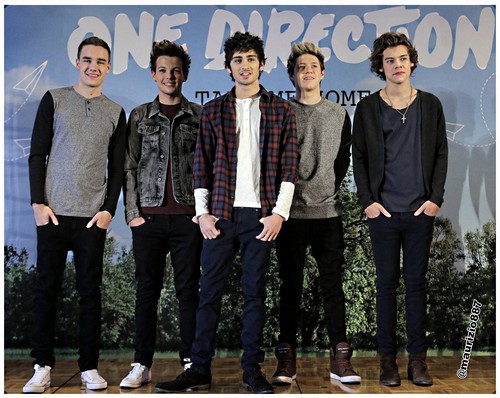 one direction 2013