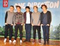 one direction Japan 2013 - one-direction photo