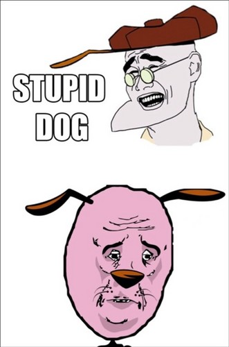  stupid dog