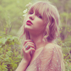  taylor Icons