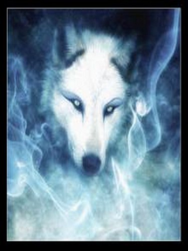  भेड़िया spirit