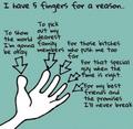 5 Fingers  - random photo