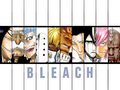 Bleach - bleach-anime photo