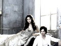 Damon and Elena  - the-vampire-diaries fan art