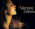Delena  - the-vampire-diaries photo
