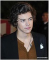 Harry Styles,NRJ Music Awards 2013 - one-direction photo