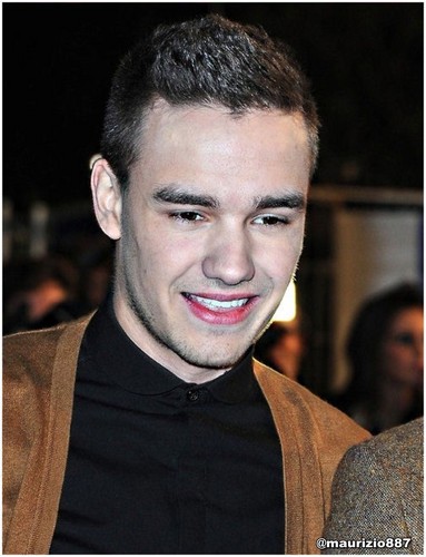 Liam Payne,NRJ Music Awards 2013