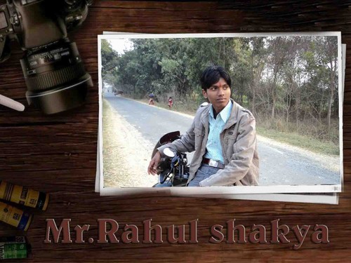  Mr Rahul Shakya