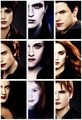 Olympic Coven - twilight-series photo