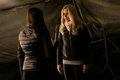 The Vampire Diaries - Episode 4.13 - Into the Wild - Promotional Photo - the-vampire-diaries-tv-show photo