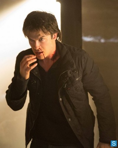 The Vampire Diaries - Episode 4.14 - Down the Rabbit Hole - Promotional Photo