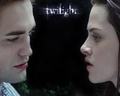 Twilight saga - twilight-series photo