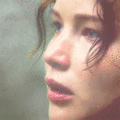 n kl. - the-hunger-games photo